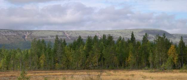 Fulufjället. Fulufjället.